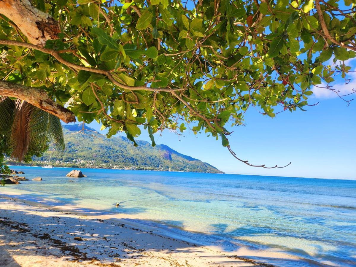 Villa Kaz Memel Beau Vallon  Esterno foto