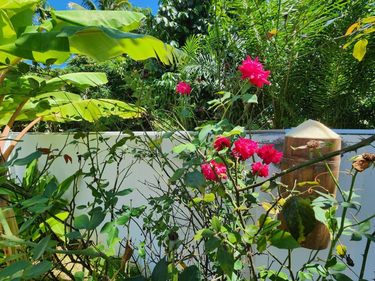 Villa Kaz Memel Beau Vallon  Esterno foto