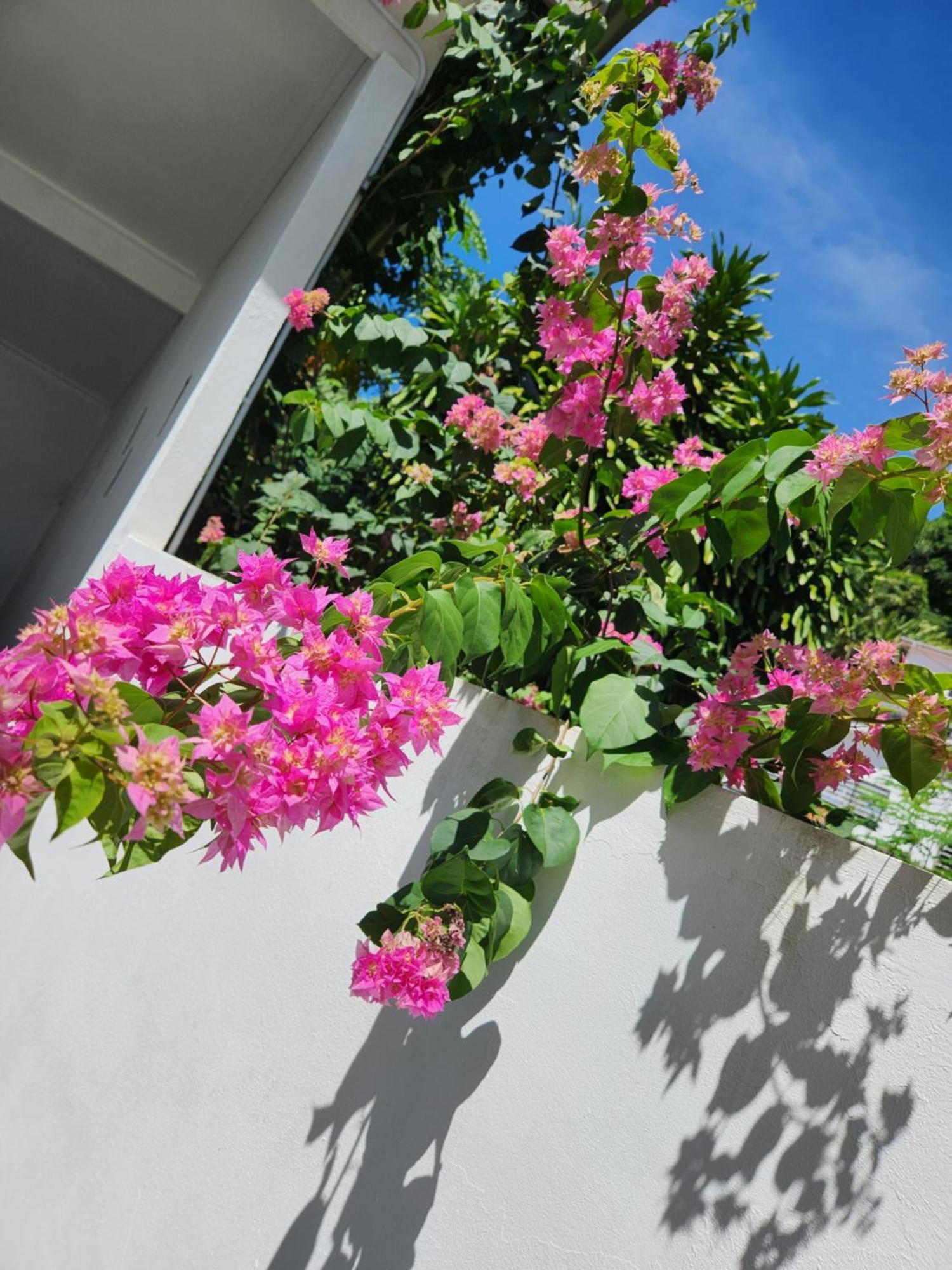 Villa Kaz Memel Beau Vallon  Esterno foto