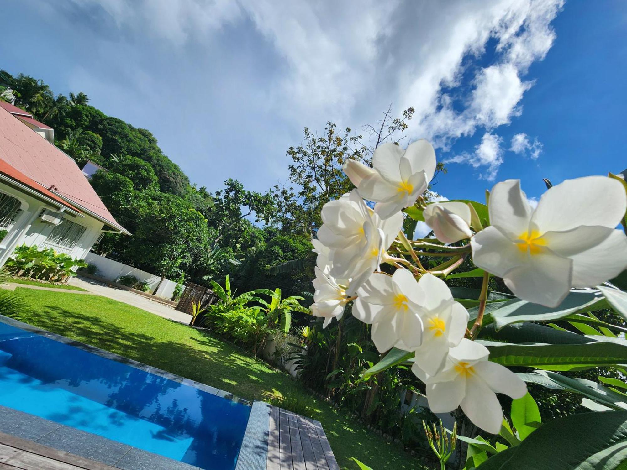 Villa Kaz Memel Beau Vallon  Esterno foto