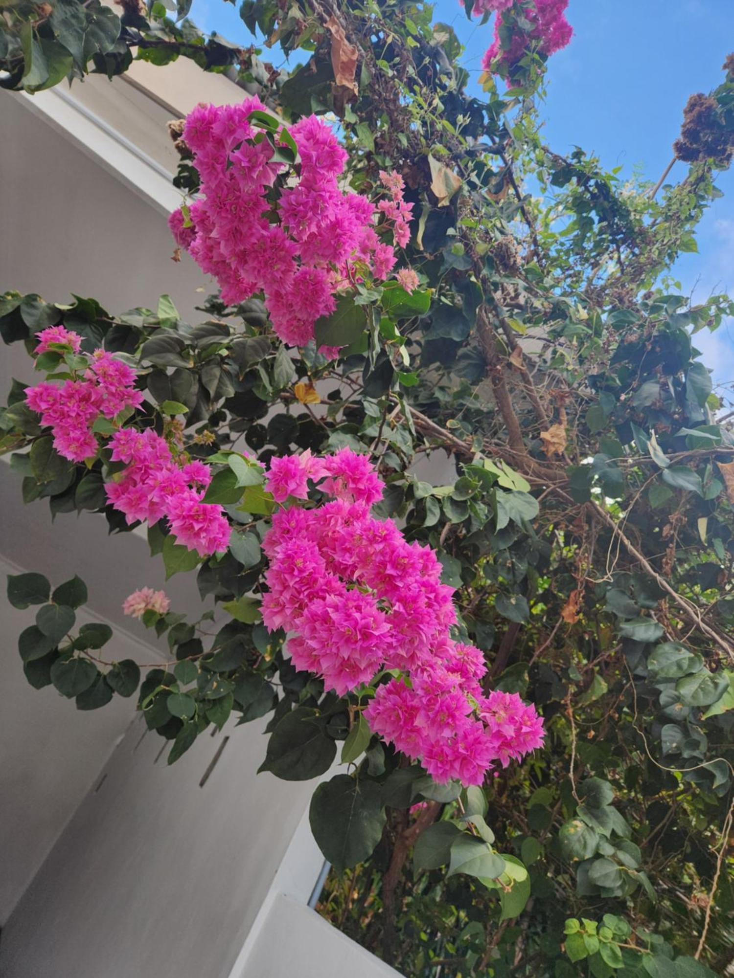 Villa Kaz Memel Beau Vallon  Esterno foto