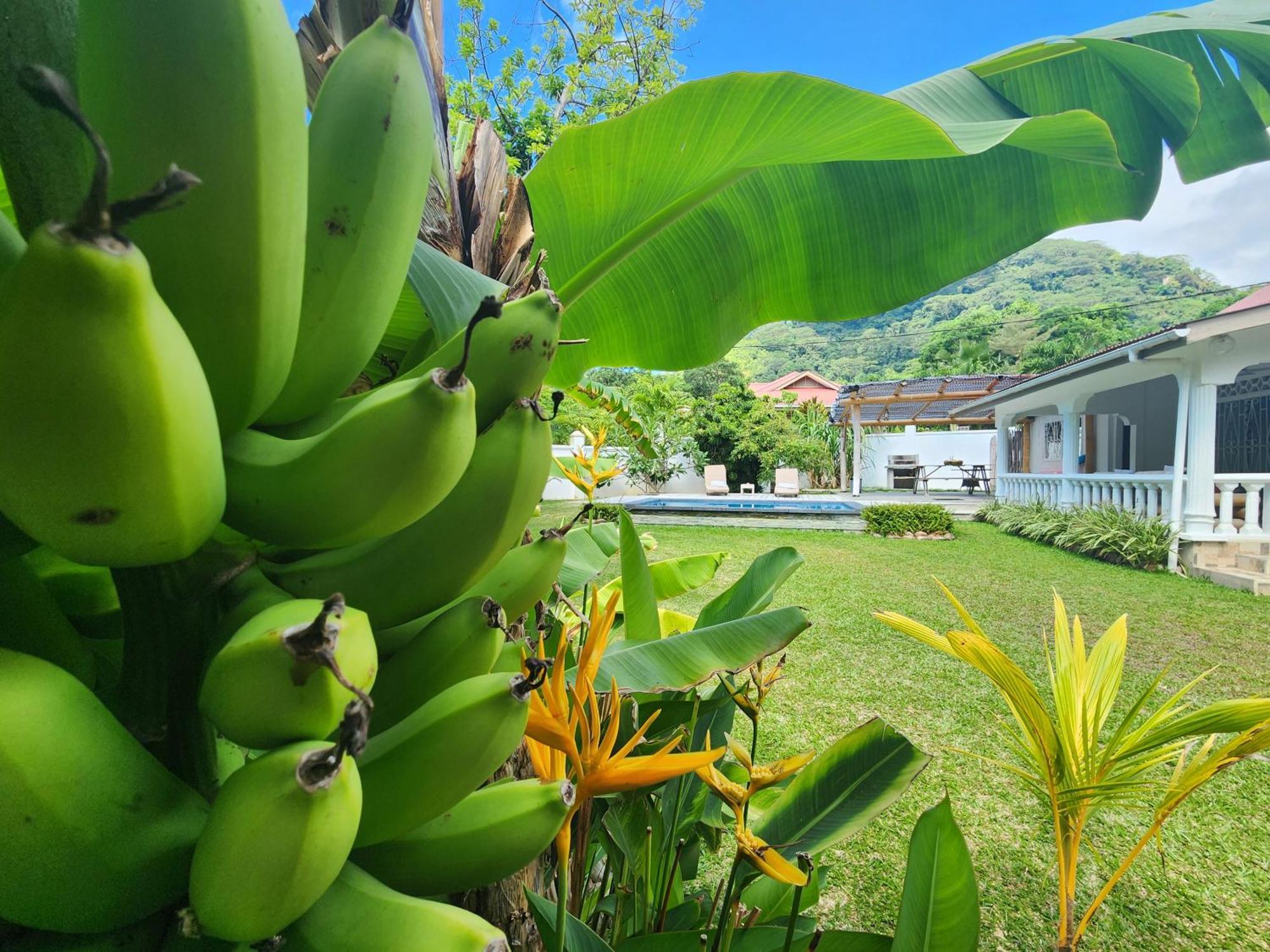 Villa Kaz Memel Beau Vallon  Esterno foto